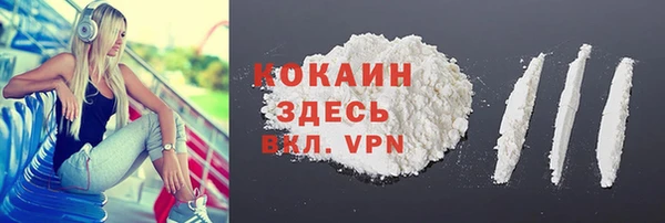 apvp Алексин