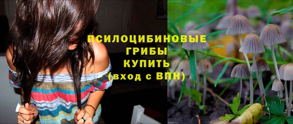 бутират Алзамай