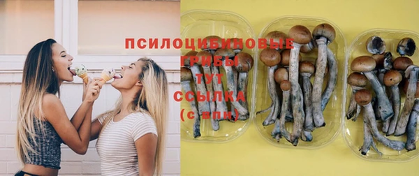 соль ск Алексеевка