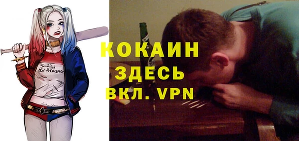 apvp Алексин