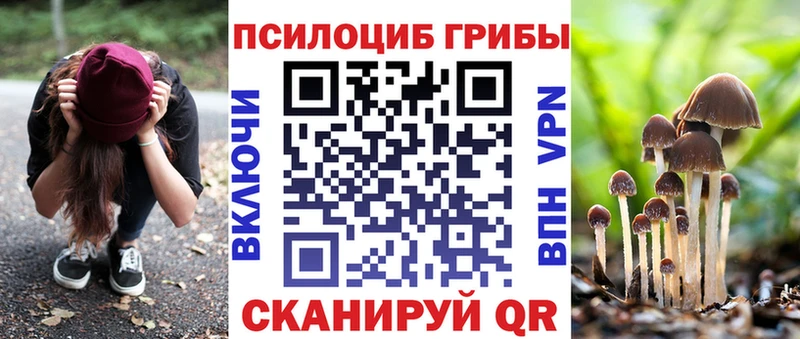 Галлюциногенные грибы Psilocybine cubensis  сайты даркнета клад  Мирный 