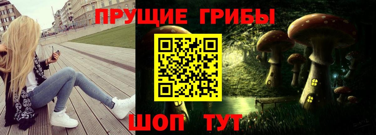 Псилоцибиновые грибы мицелий  Псилоцибиновые грибы Psilocybe  Мирный  Вход с VPN 